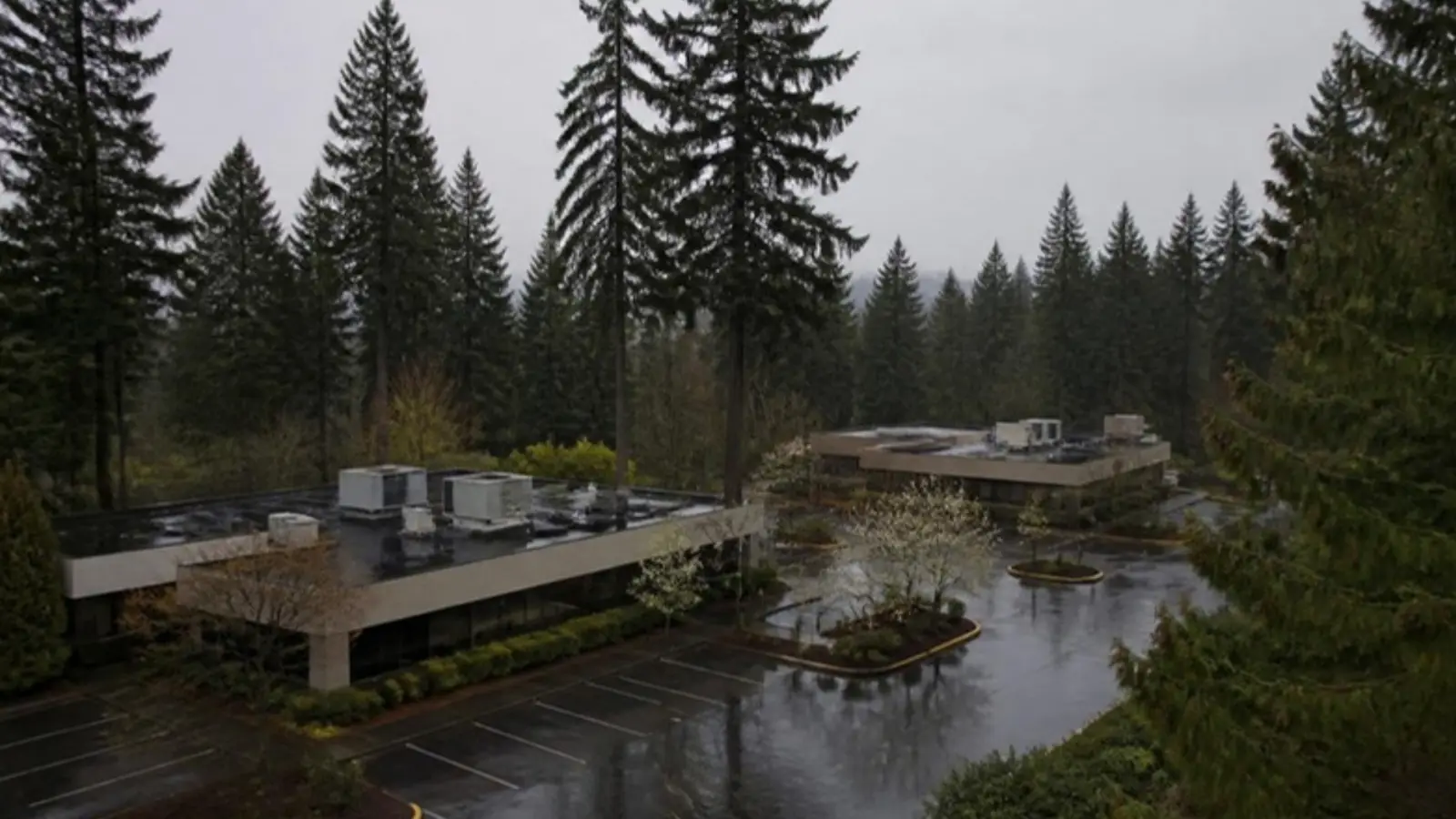 Low-rise office and lab buildings among tall firs in a rainy Pacific Northwest business park