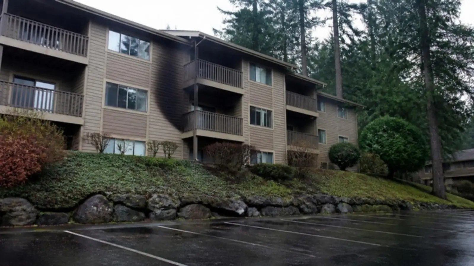 Wood-sided condominium building with balconies on a rainy hillside among tall evergreen trees