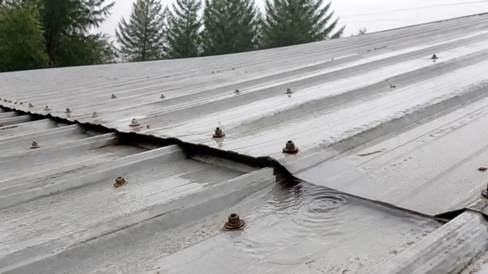 Rusty fasteners and a lifted side-lap seam on a corrugated metal warehouse roof in the rain