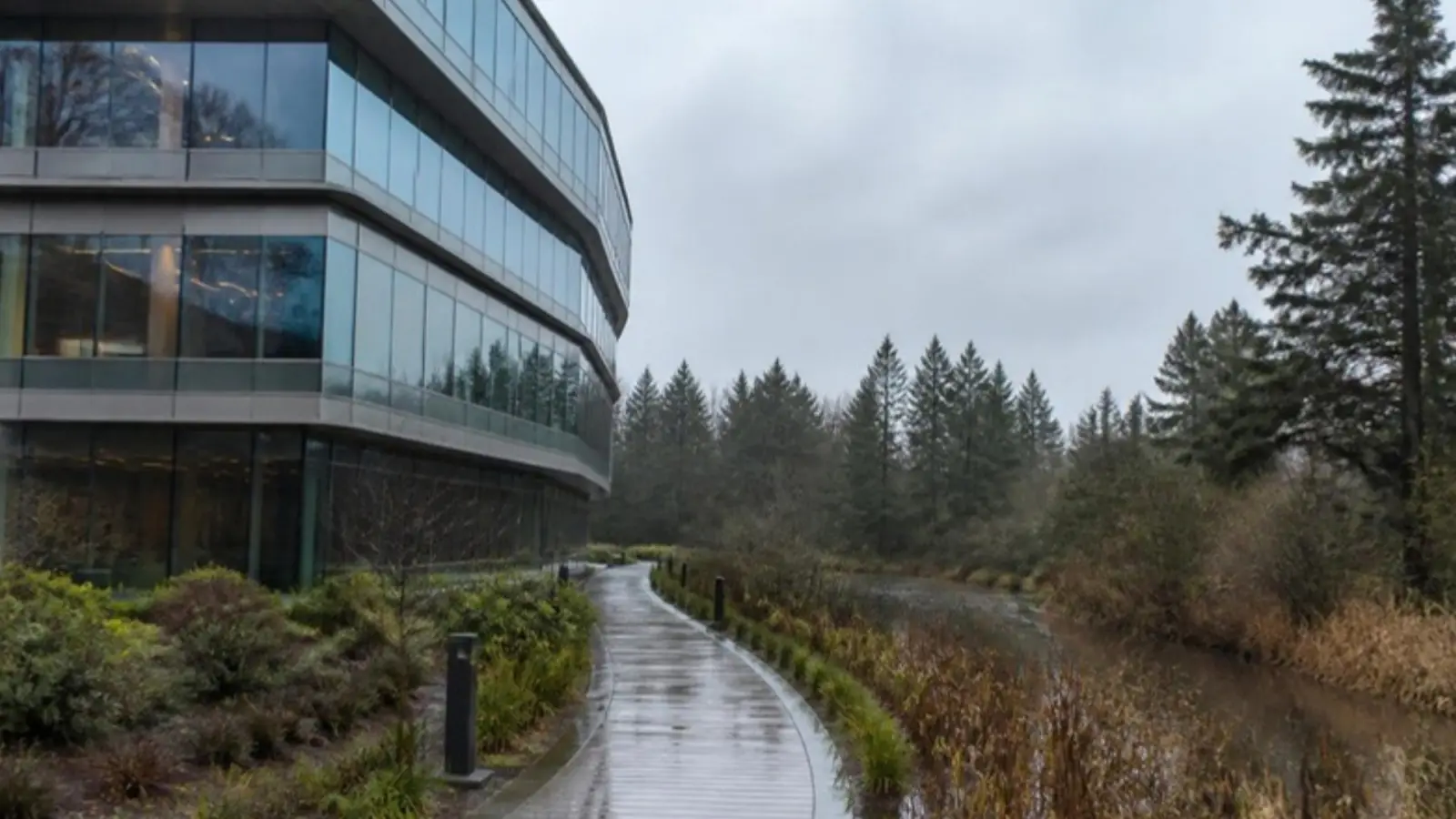 Glass office building beside a wetland boardwalk on a rainy day
